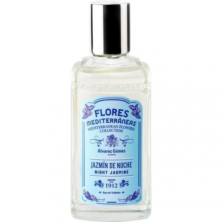 Flores Mediterráneas - Jazmín de Noche